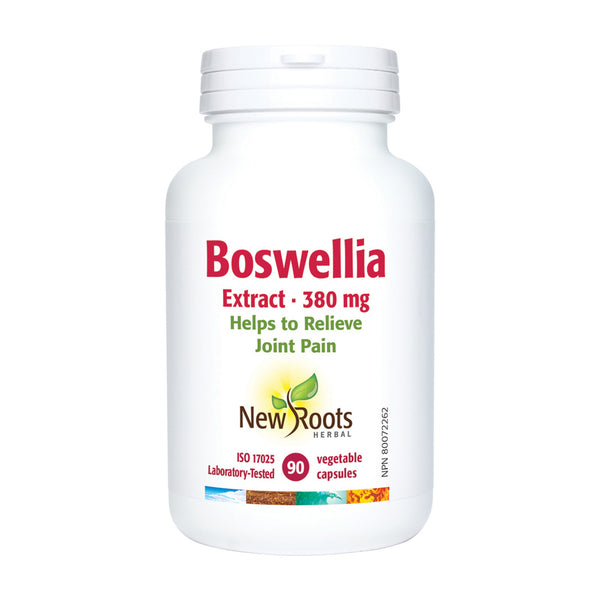 Boswellia Extract (90 Caps)