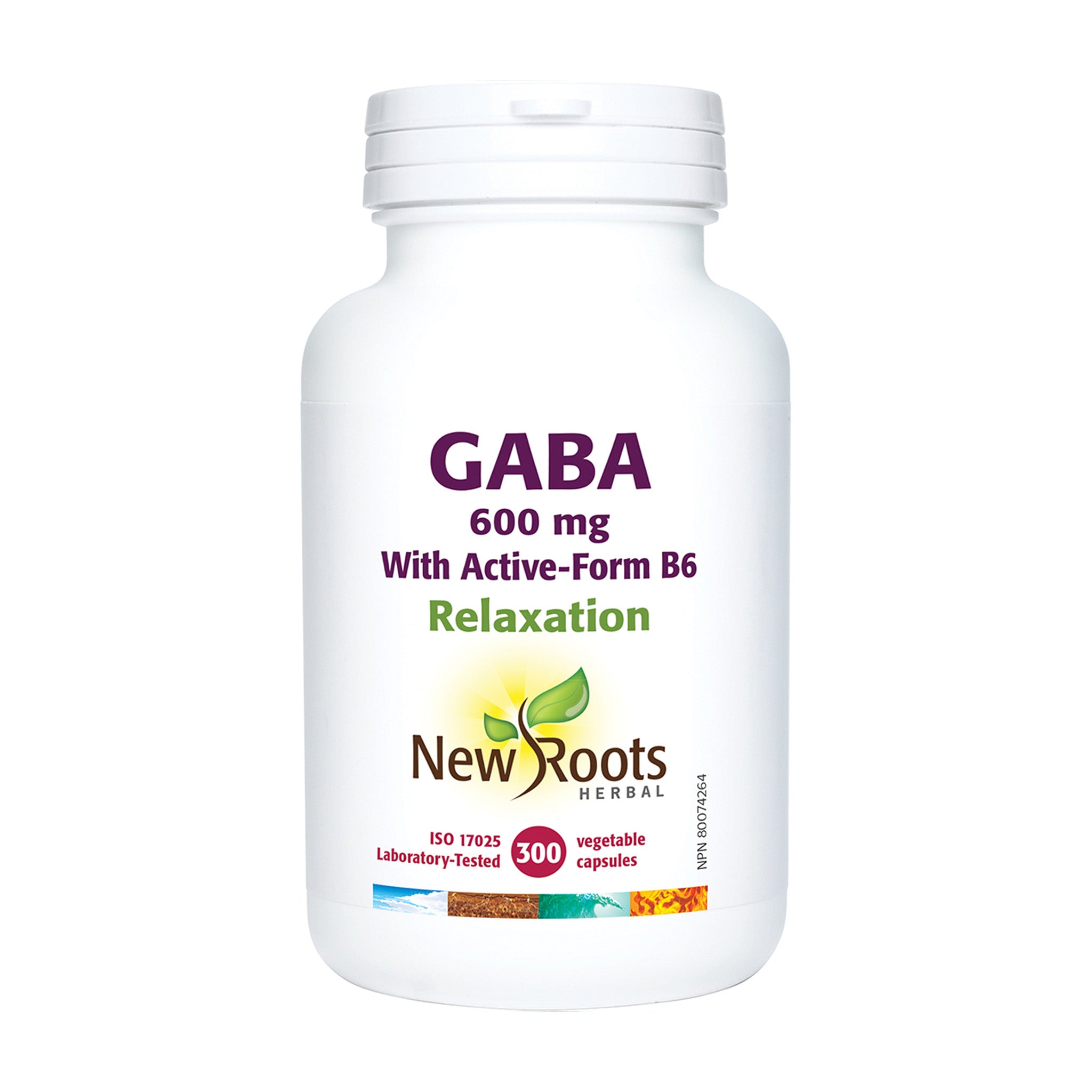 GABA With Vitamin B6 (300 Caps)