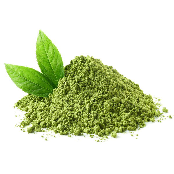 BULK] Organic Matcha Green Tea (100g - 5kg) | Vita Plus Canada